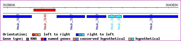 gene map