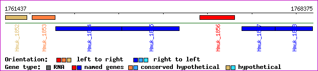 gene map