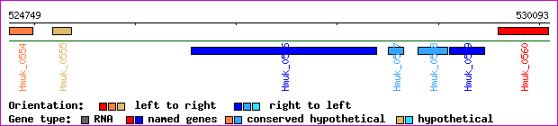 gene map