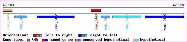gene map