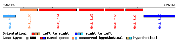 gene map