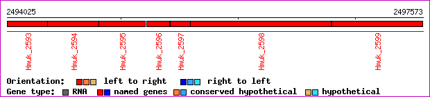gene map