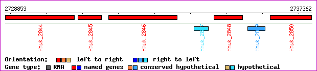 gene map
