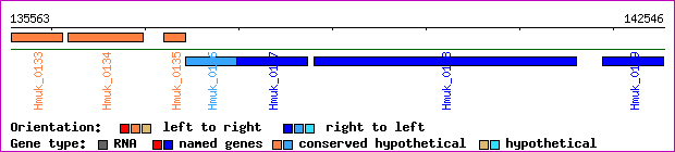 gene map