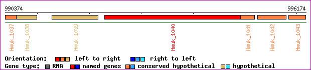 gene map