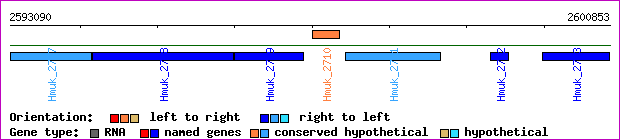 gene map