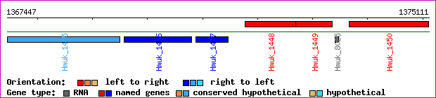 gene map