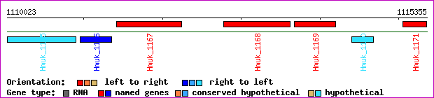 gene map