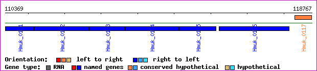 gene map