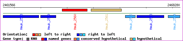 gene map