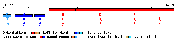 gene map