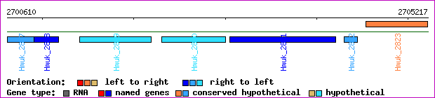 gene map
