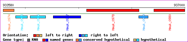 gene map