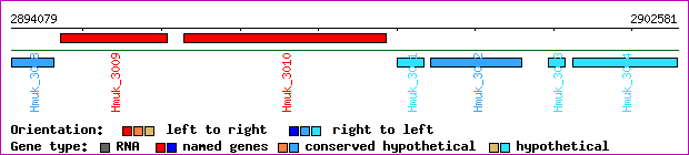 gene map