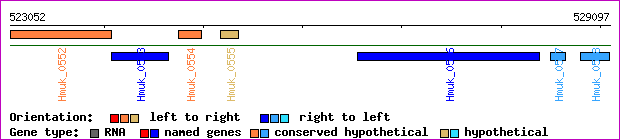 gene map