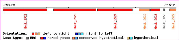 gene map