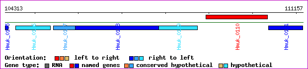 gene map