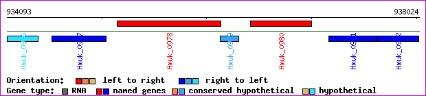 gene map