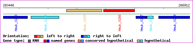 gene map