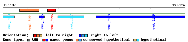 gene map