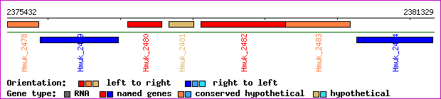 gene map