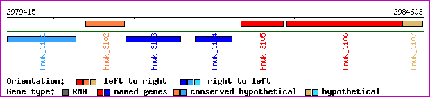gene map