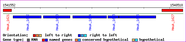 gene map
