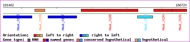 gene map