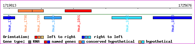 gene map