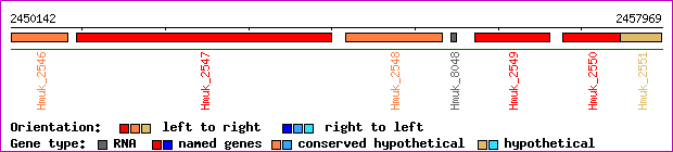 gene map