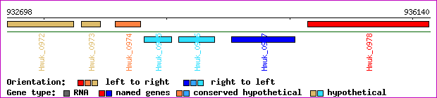 gene map