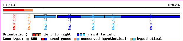 gene map