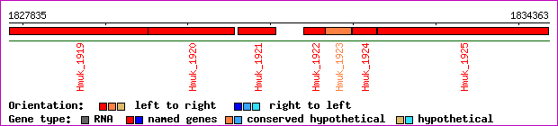 gene map