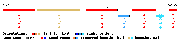 gene map