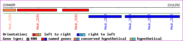 gene map
