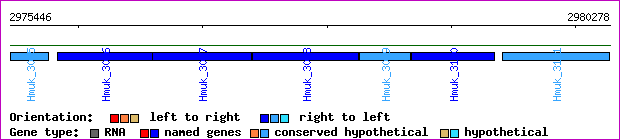 gene map
