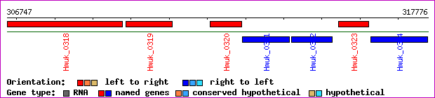 gene map