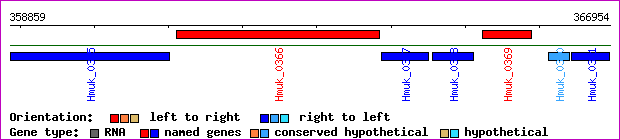 gene map
