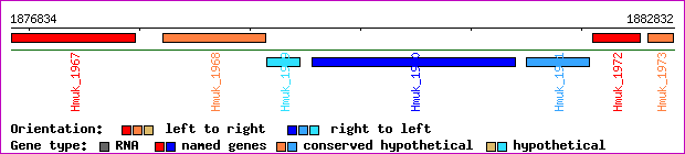 gene map