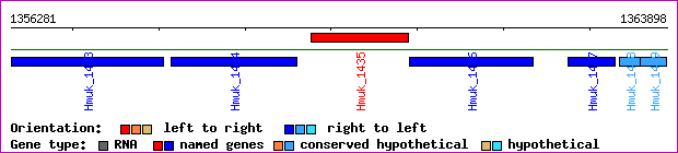 gene map