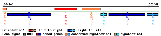 gene map