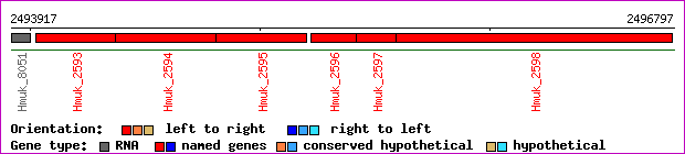 gene map