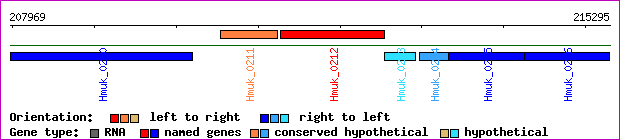 gene map
