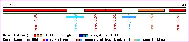 gene map