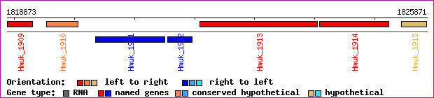 gene map