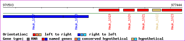 gene map
