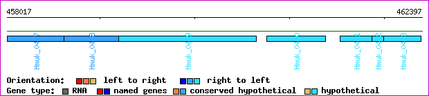 gene map