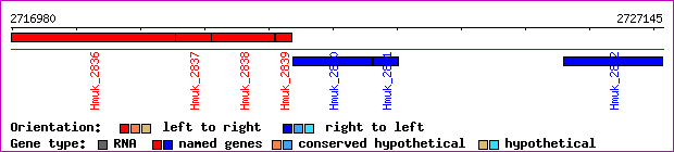 gene map