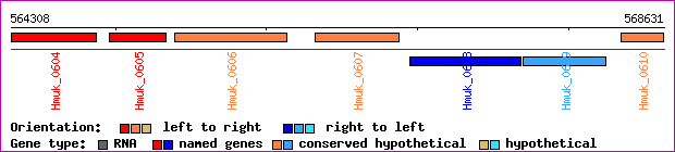 gene map