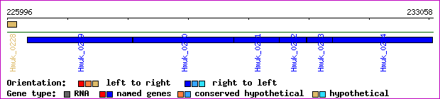 gene map